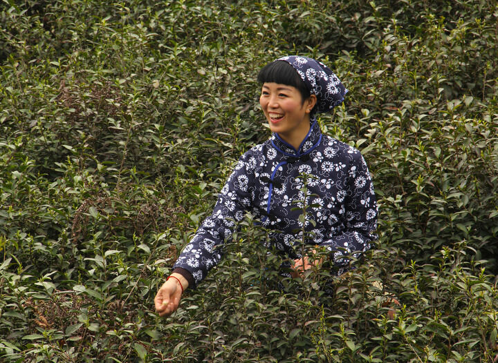 真人露脸 更新2